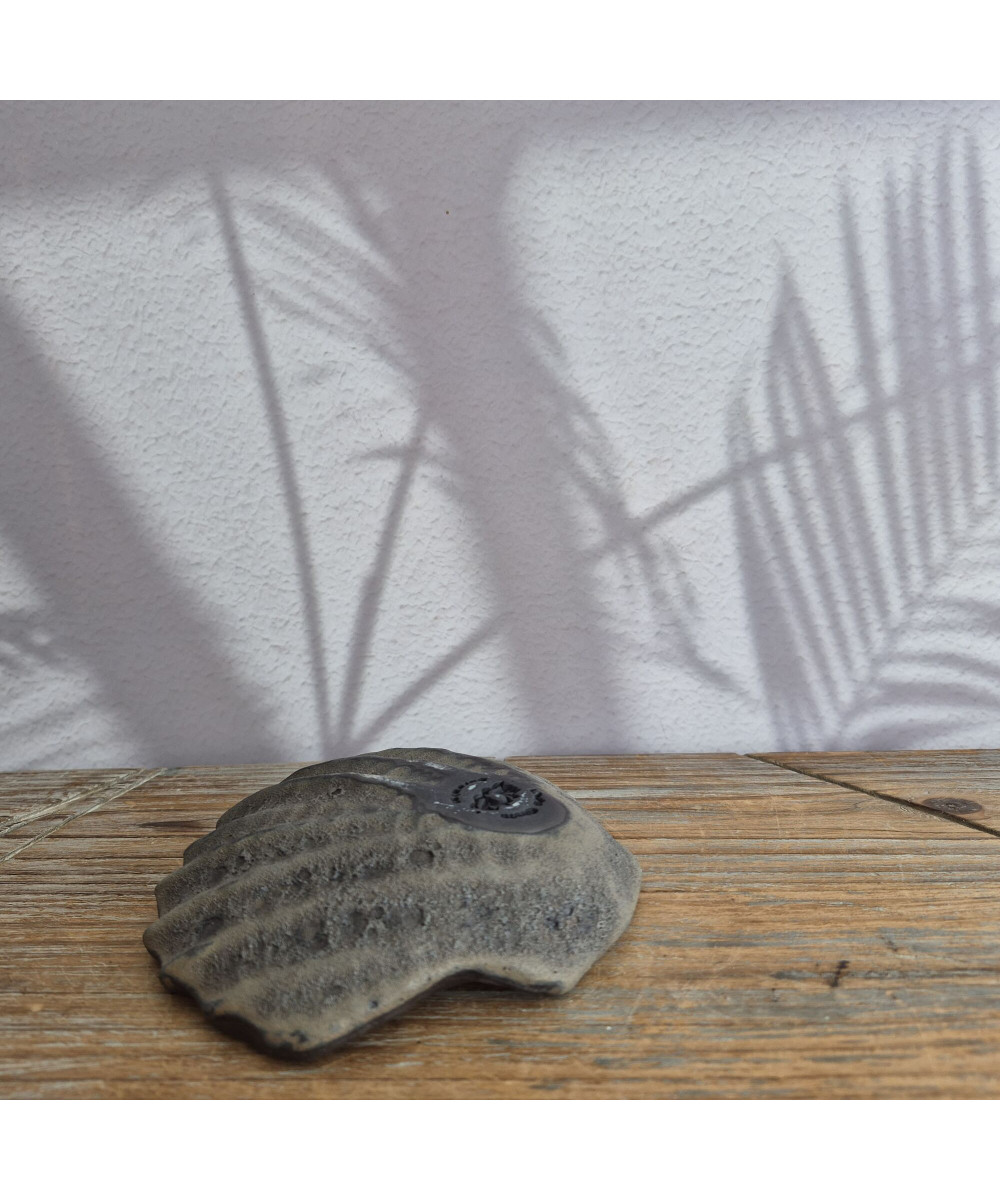 Seashell Bowl small