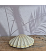 Seashell Bowl small