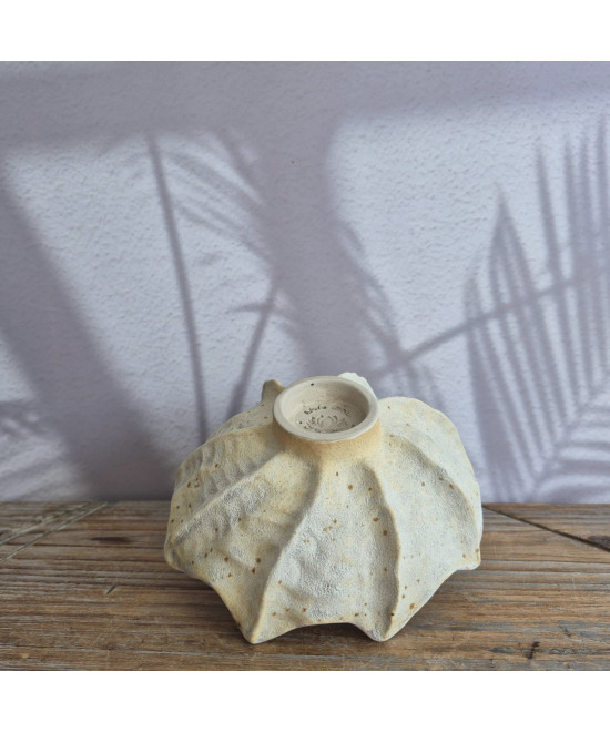 Seashell Bowl small
