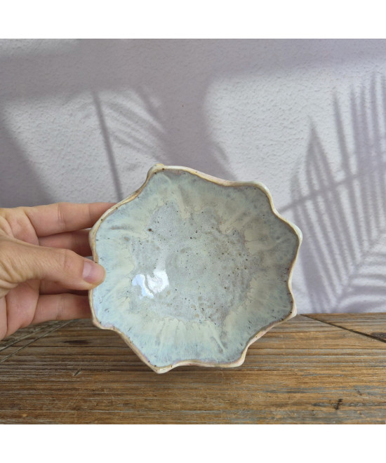 Seashell Bowl small