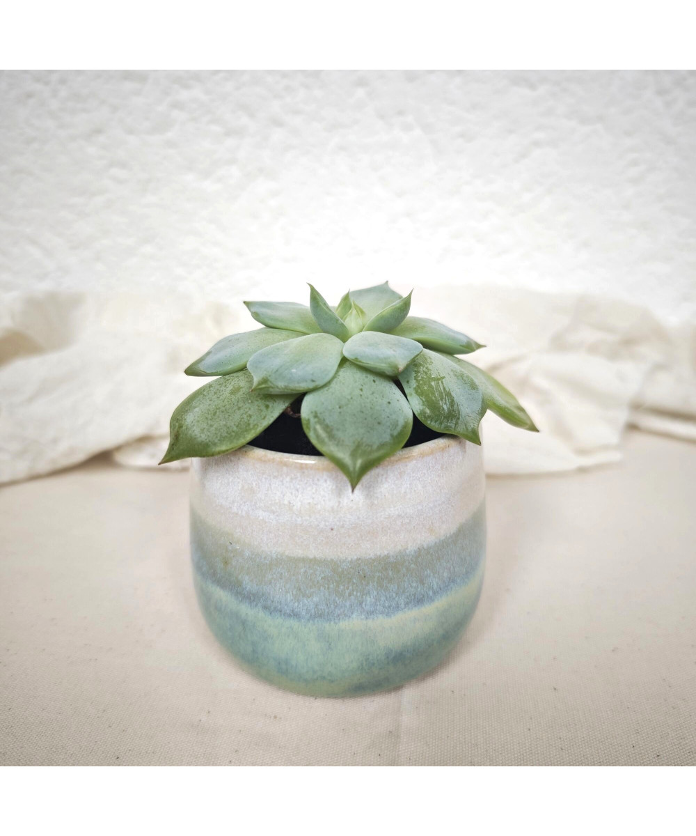 Small Planter