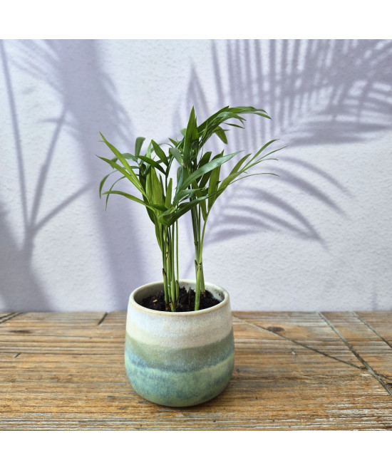 Small Planter
