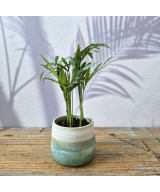 Small Planter